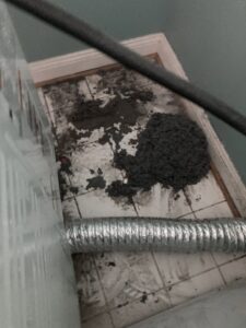 A flexible dryer vent hose next to a pile of lint on the floor, indicating a recent cleaning by Star Quality Air Duct Cleaning in Silver Spring, MD.