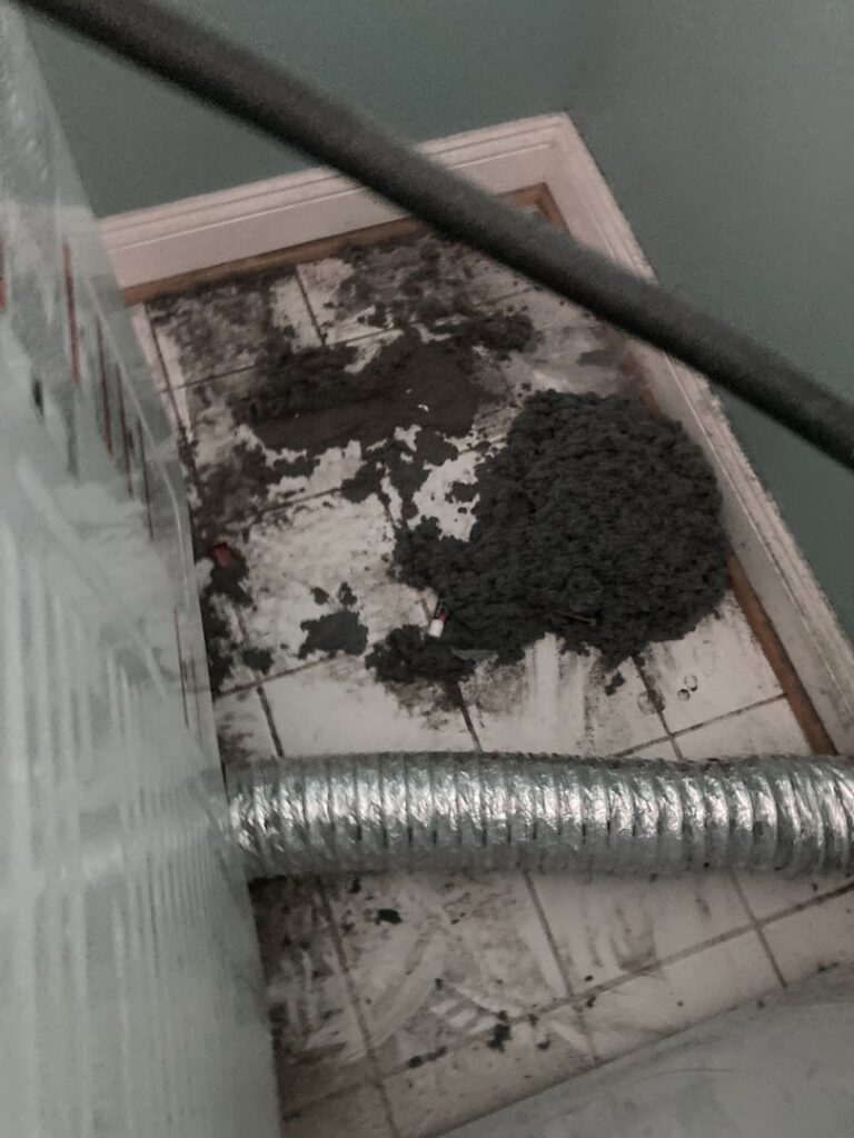 A flexible dryer vent hose next to a pile of lint on the floor, indicating a recent cleaning by Star Quality Air Duct Cleaning in Silver Spring, MD.