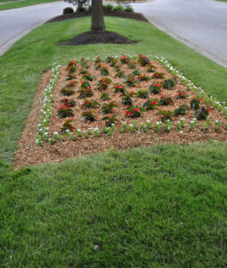 A vibrant flower bed with red and white blooms, neatly mulched by Kustom Lawn Kare LLC in Greenwood, IN.