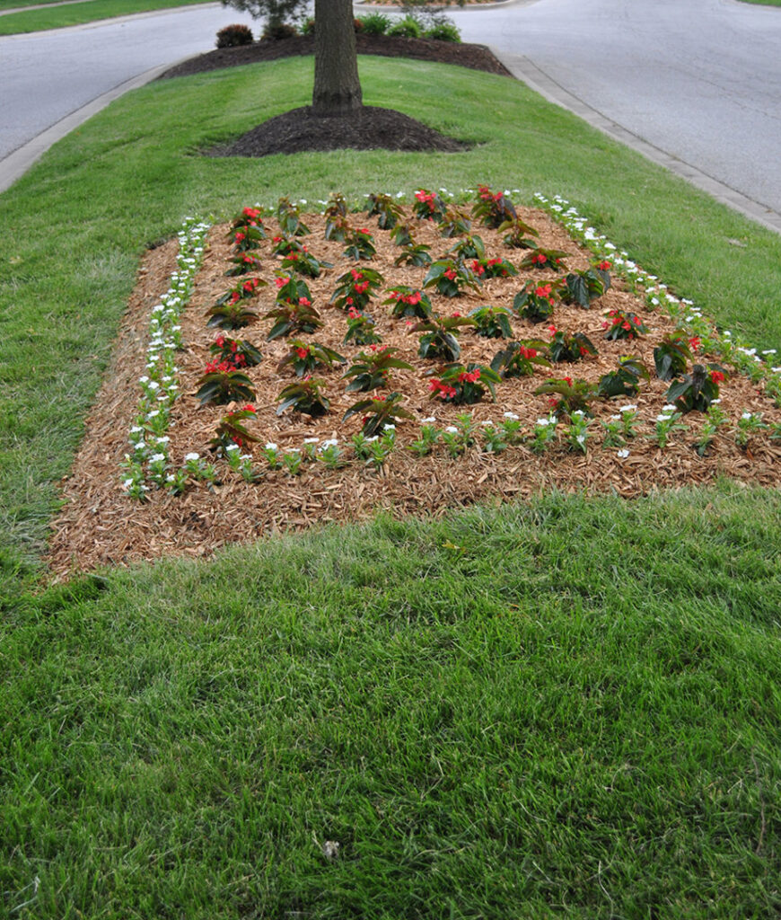 A vibrant flower bed with red and white blooms, neatly mulched by Kustom Lawn Kare LLC in Greenwood, IN.