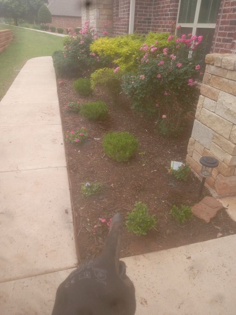 A gloved hand pointing at a vibrant landscape bed with flowering shrubs and mulch, maintained by A & A Lawn Care Service LLC in Edmond, OK.