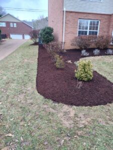 Fresh dark mulch installed in a garden bed around shrubs by King Lawn Care in Alexandria, VA.