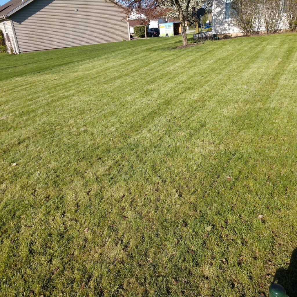 A freshly aerated and striped green lawn, showcasing quality work from Mr. B's Lawn Aeration in Lafayette, IN.