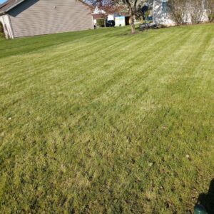 A freshly aerated and striped green lawn, showcasing quality work from Mr. B's Lawn Aeration in Lafayette, IN.