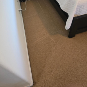 A freshly cleaned bedroom carpet with distinct cleaning lines by Abq Prime Carpet Cleaners in Albuquerque, NM.