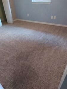 Freshly cleaned bedroom carpet with visible cleaning lines by Action Carpet Cleaning & Restoration in Norman, OK