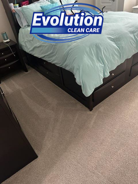 A freshly cleaned bedroom carpet showing cleaning lines by Evolution Clean Care in Knoxville, TN