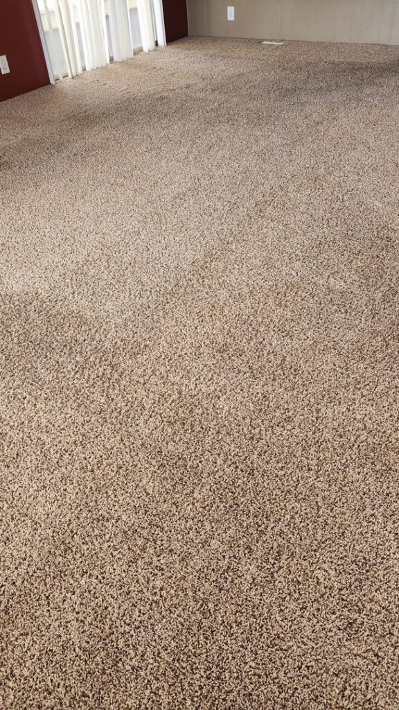 A freshly cleaned, light-colored carpet in a bedroom, demonstrating the excellent results from Extra Mile Floor Care in Mesa, AZ.
