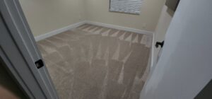 A freshly cleaned, light-colored carpet with distinct vacuum lines in a bedroom by Healthy Homes Cleaning and Restoration LLC in Fort Lauderdale, FL.