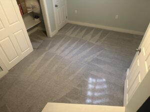 A freshly cleaned bedroom carpet with distinct cleaning lines by Premium Carpet Care in Lincoln, NE.