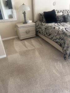 A freshly cleaned bedroom carpet with visible cleaning lines by Tampa Steam Team in Plant City, FL.