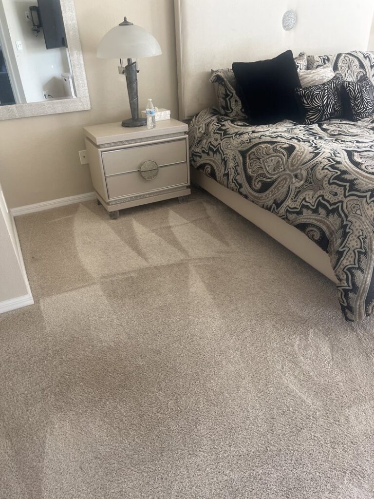 A freshly cleaned bedroom carpet with visible cleaning lines by Tampa Steam Team in Plant City, FL.
