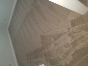 Freshly cleaned bedroom carpet with visible cleaning marks by Word of Mouth Cleaning Services in Houston, TX.