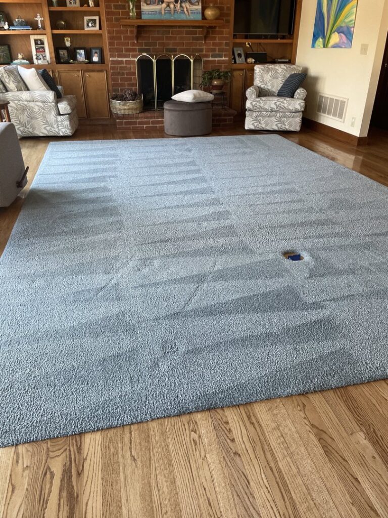 A freshly cleaned blue area rug with visible cleaning lines by Zerorez Columbia in Columbia, SC.