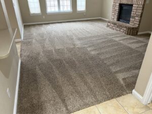 A freshly cleaned brown carpet showing distinct cleaning lines in a residential room by DanCare Carpet Cleaning in Albuquerque, NM