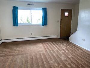 Freshly cleaned brown carpet in a living room, showing distinct cleaning lines from KANDE Carpet Cleaning in Pittsburgh, PA.