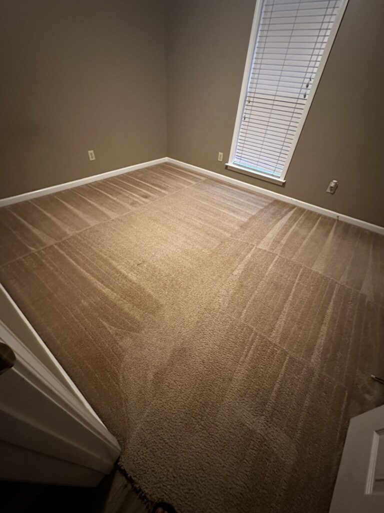 A room with freshly cleaned brown carpet showing distinct cleaning lines by Reynolds Carpet Care in Henrico, VA.