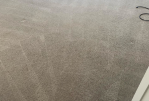 A freshly cleaned residential carpet with visible vacuum lines by A Brighter Cleaning Service in Arlington, TX.