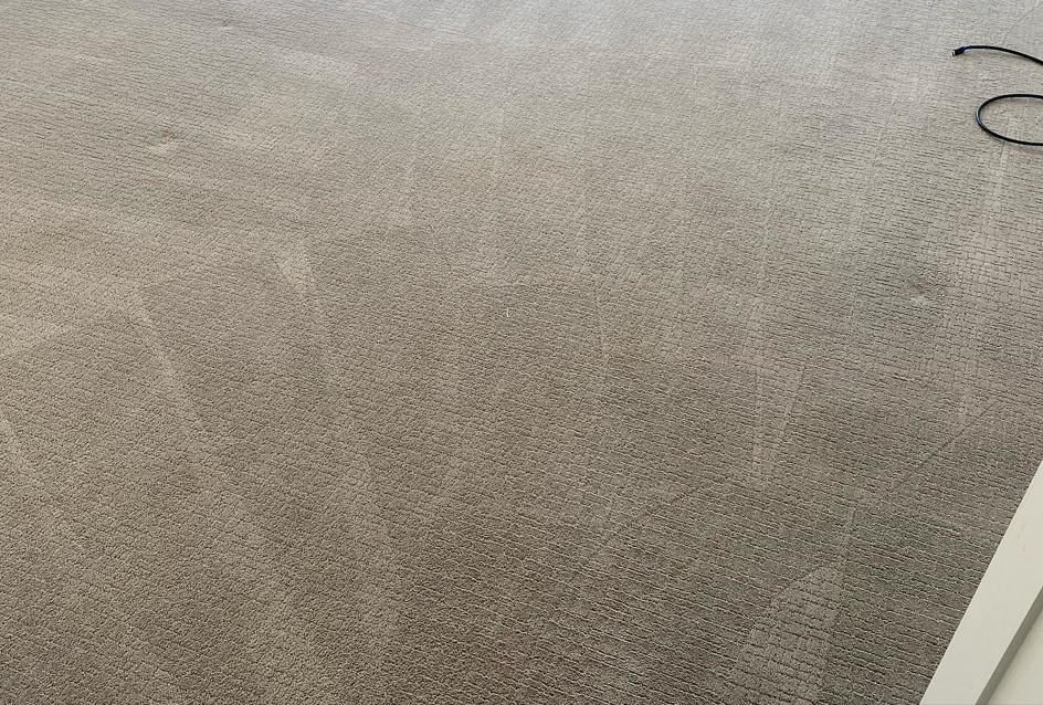 A freshly cleaned residential carpet with visible vacuum lines by A Brighter Cleaning Service in Arlington, TX.