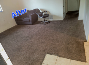 A freshly cleaned brown carpet in a living room after service by Crawford's Carpet Cleaning in Oklahoma City, OK.
