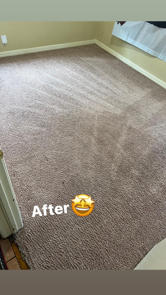 A freshly cleaned carpet with visible vacuum lines after service by D&H Anytime Carpet Cleaning LLC in Mobile, AL.