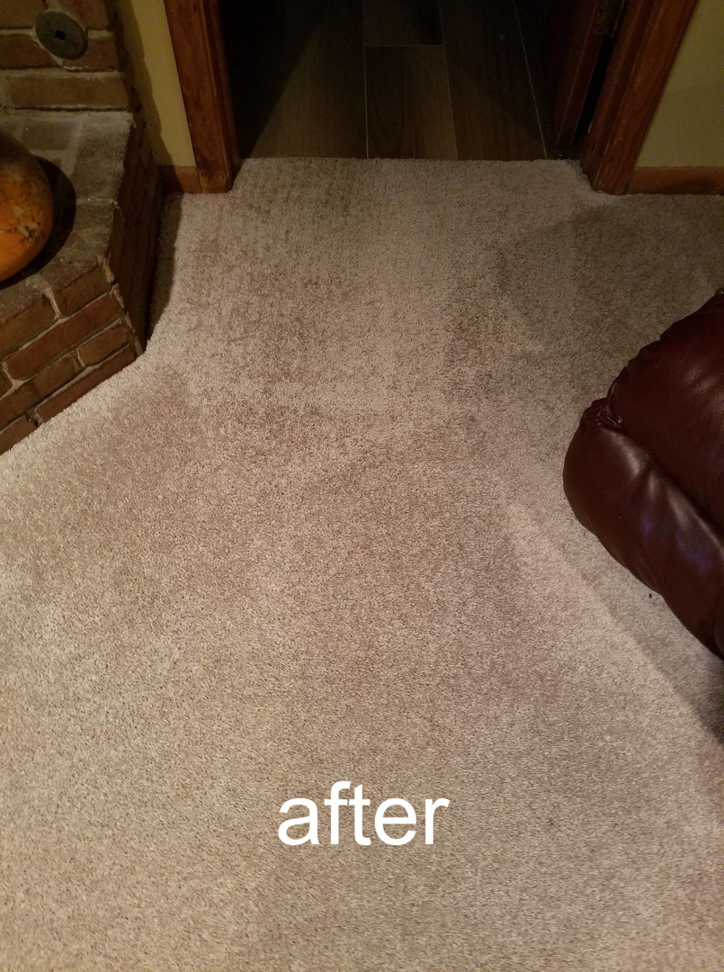 Freshly cleaned carpet in a home after service by Magna-Dry Carpet and Upholstery Cleaning in Cincinnati, OH.
