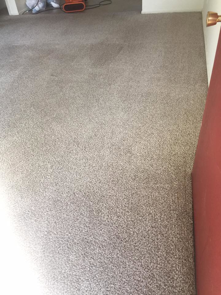 A freshly cleaned carpet after professional service by Martin Pro Cleaner in Tulsa, OK