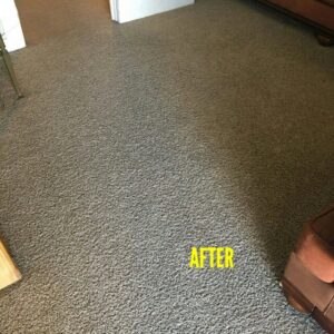 A freshly cleaned carpet after service by Mint Carpet Care in Dallas, TX, showing renewed texture