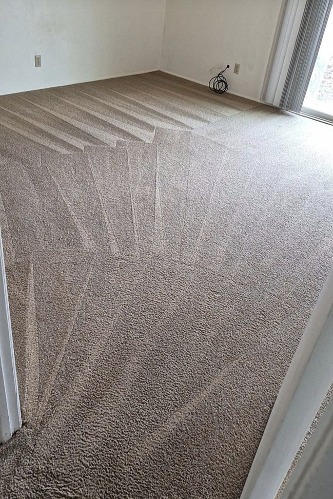 A freshly cleaned carpet with distinct vacuum lines by Arizona Carpet & Home Cleaning in Sierra Vista, AZ.