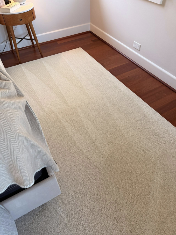 A freshly cleaned light-colored carpet with visible cleaning lines in a bedroom by First Response Custom Cleaning in Newport News, VA