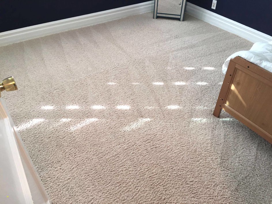A freshly cleaned carpet with visible vacuum lines in a bedroom by Seminole Carpet Cleaning in Tallahassee, FL