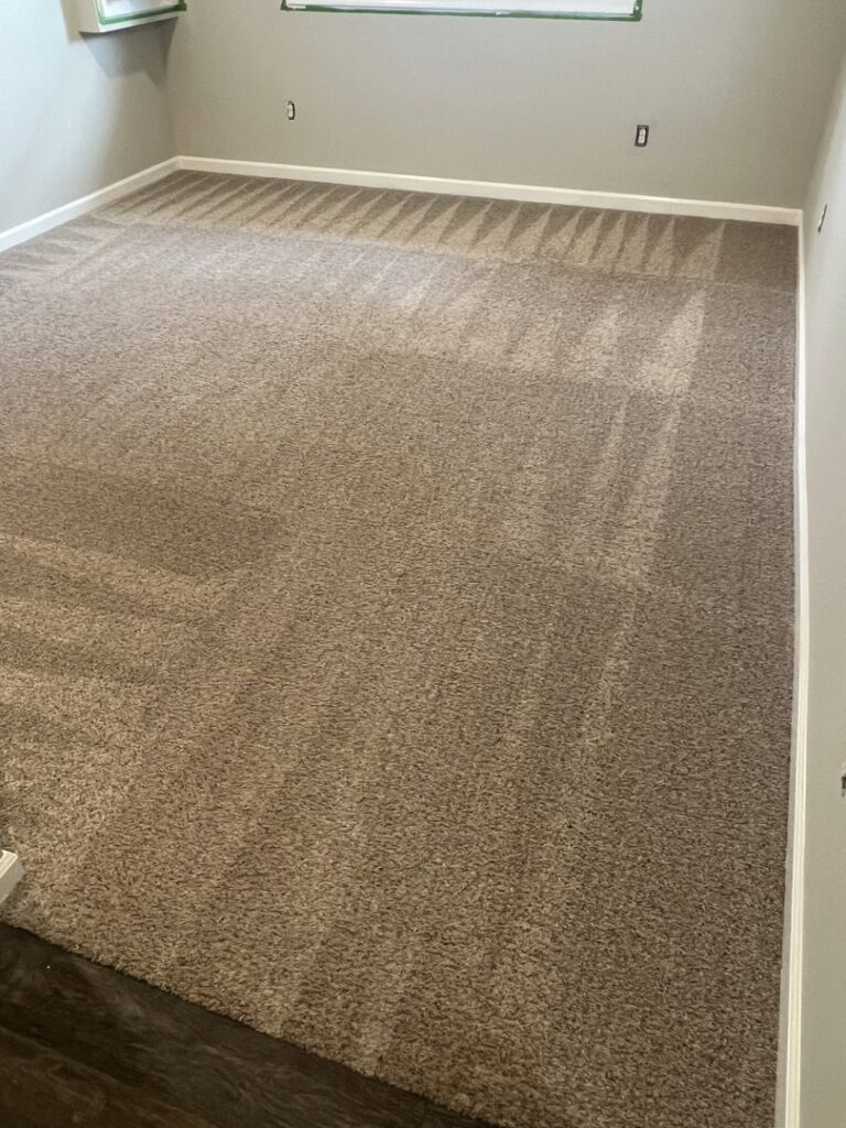 A freshly cleaned carpet with visible cleaning lines by BEST Professionals Cleaning, LLC in Lancaster, PA