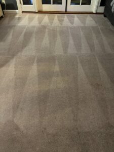 A freshly cleaned carpet showing distinct cleaning lines by California Xtreme Steam in Sacramento, CA