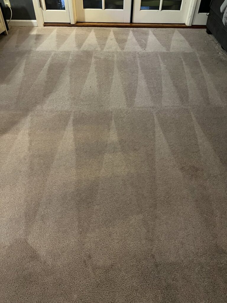 A freshly cleaned carpet showing distinct cleaning lines by California Xtreme Steam in Sacramento, CA