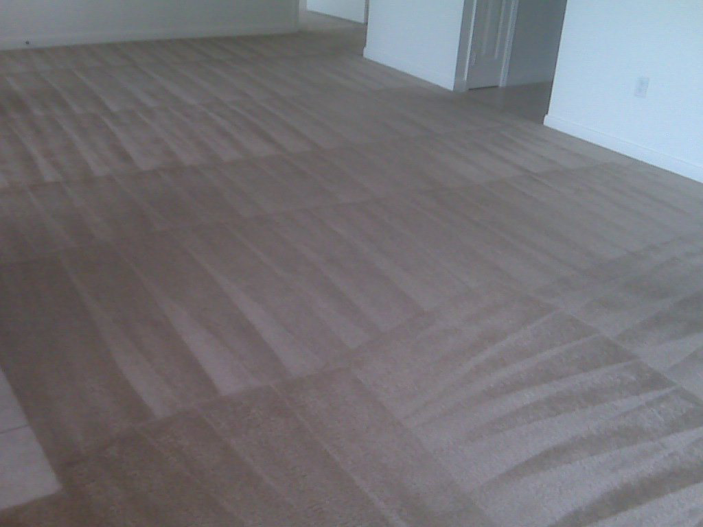 Freshly cleaned carpet with distinct cleaning lines by Celebrity Carpet and Upholstery Cleaning in Overland Park, KS.