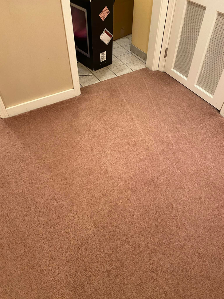 A reddish-brown carpet showing fresh cleaning lines after service by CityWide Carpet & Upholstery Care in Pittsburgh, PA.
