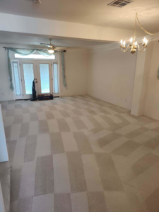A freshly cleaned carpet with distinct cleaning stripes in a living room by Coyote Carpet Cleaning LLC in Bunkerville, NV.