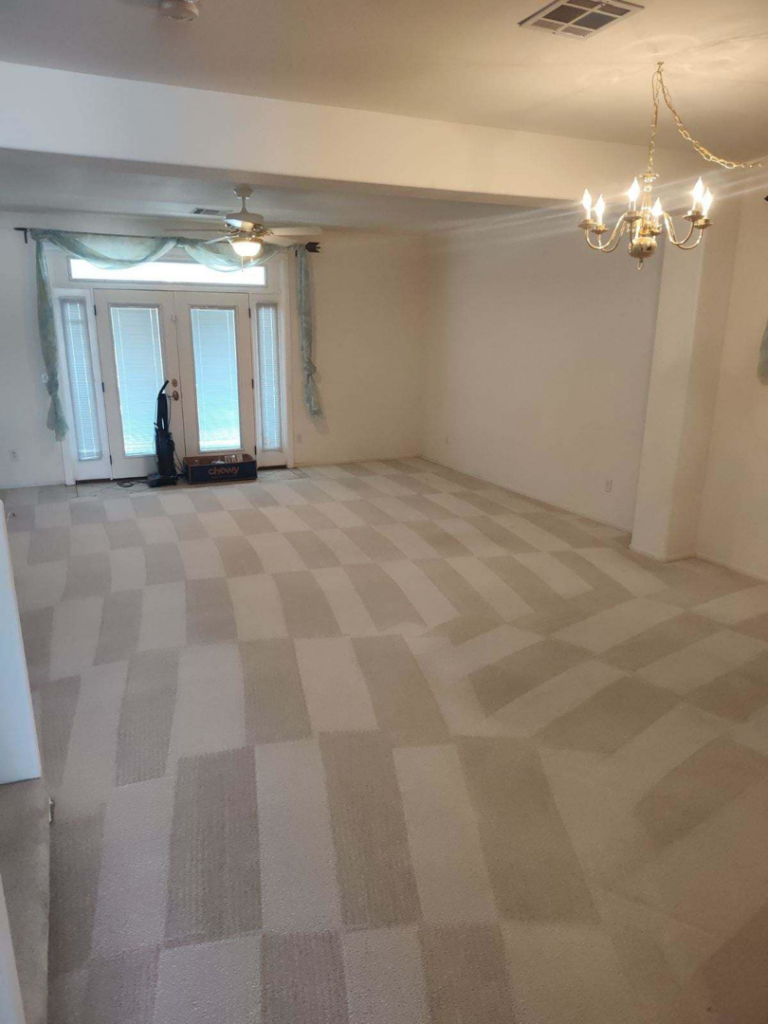 A freshly cleaned carpet with distinct cleaning stripes in a living room by Coyote Carpet Cleaning LLC in Bunkerville, NV.