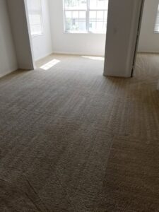 A freshly cleaned, light-colored carpet with distinct cleaning lines in an empty room, showcasing work by Hendry's Carpet Care in Tallahassee, FL.