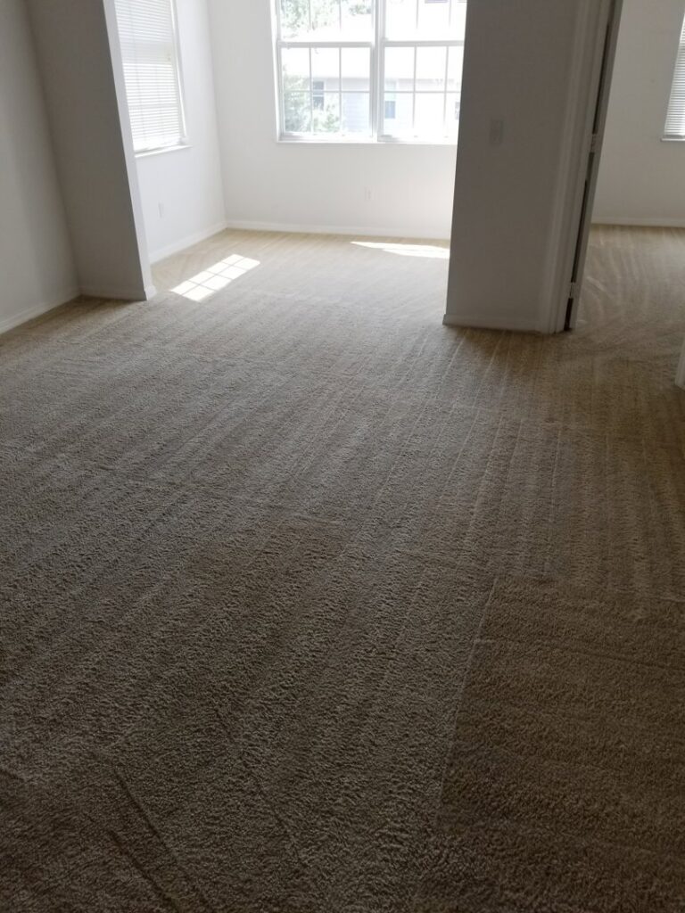 A freshly cleaned, light-colored carpet with distinct cleaning lines in an empty room, showcasing work by Hendry's Carpet Care in Tallahassee, FL.