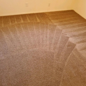 A freshly cleaned brown carpet with distinct grooming lines by Epic Carpet and Tile Care in Phoenix, AZ