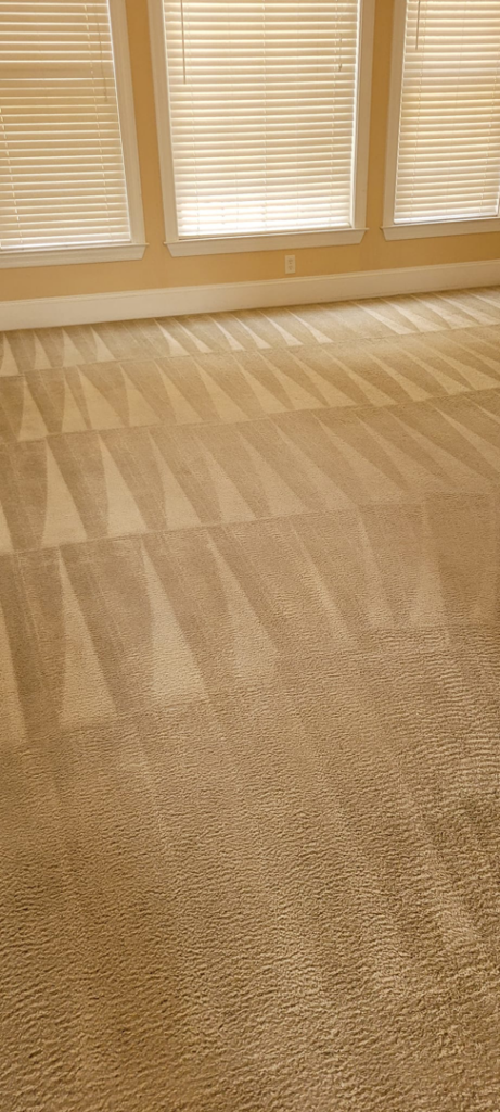 A freshly cleaned carpet with distinct vacuum lines in a room by Extreme Carpet Cleaning Atlanta, GA.