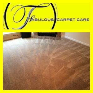 A freshly cleaned carpet showing distinct patterns by FABULOUS CARPET CARE in Memphis, TN.