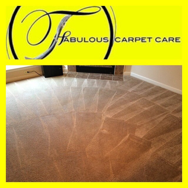 A freshly cleaned carpet showing distinct patterns by FABULOUS CARPET CARE in Memphis, TN.