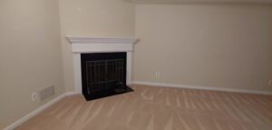 A freshly cleaned carpet with distinct lines in a room with a fireplace by Professional Carpet Care Laurel in Laurel, MD