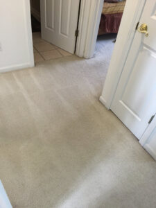 A freshly cleaned carpeted hallway with distinct cleaning lines by C&C Carpet Care LLC in Columbia, MO.