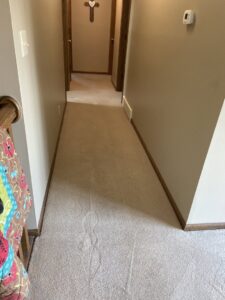 A freshly cleaned carpeted hallway with visible cleaning lines by Christenson Cleaning & Restoration in Hastings, NE.