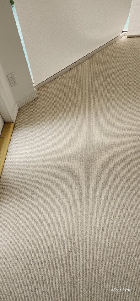 A freshly cleaned, light-colored carpet with visible vacuum lines in a hallway by Healthy Homes Cleaning and Restoration LLC in Fort Lauderdale, FL.
