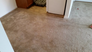 A freshly cleaned carpeted hallway leading to another room, showcasing work by Magic Wand Services in Wichita, KS