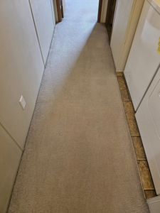 A freshly cleaned carpeted hallway, showcasing results from Peterson's Carpet & Air Duct Cleaning in Dickinson, ND.
